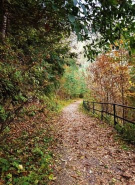 Ayubia National Park
